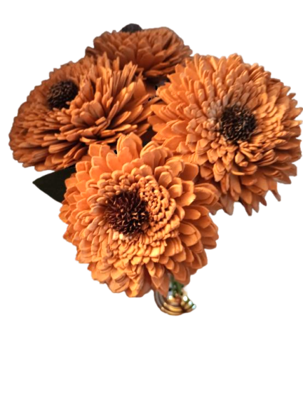 Marvelous Zinnia Single Stem